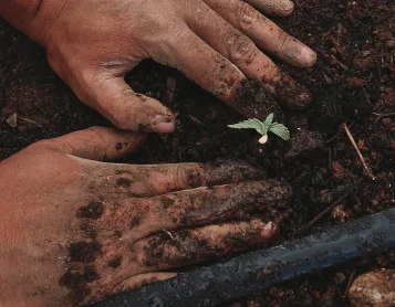 World Environment Day